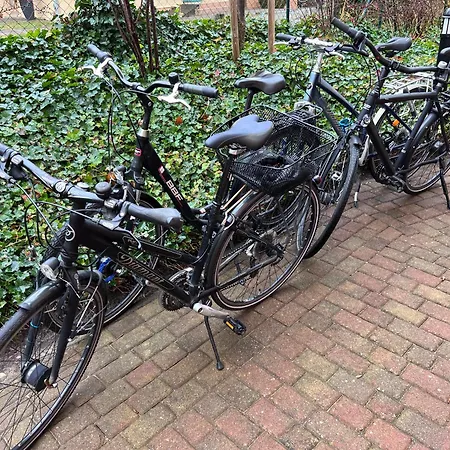 Hintze Inkl Strandkorb, 4 Fahrraeder アパート *